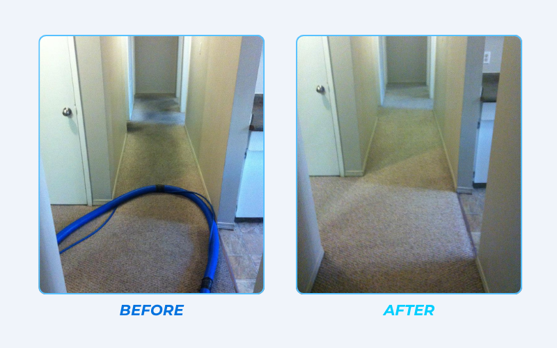 Deep steam carpet cleaning before and after transition in Edmonton