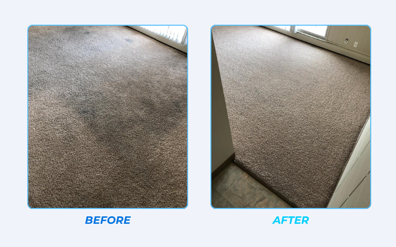 Before and after professional carpet cleaning results for an Edmonton home