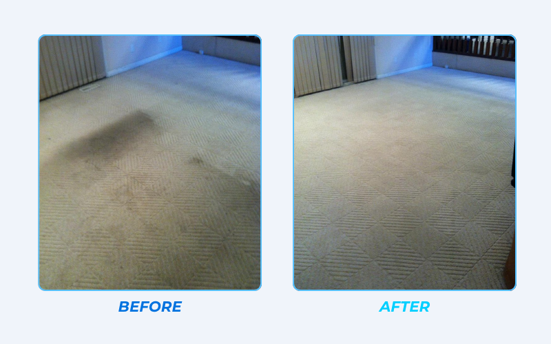 Professional residential carpet restoration before and after in Edmonton