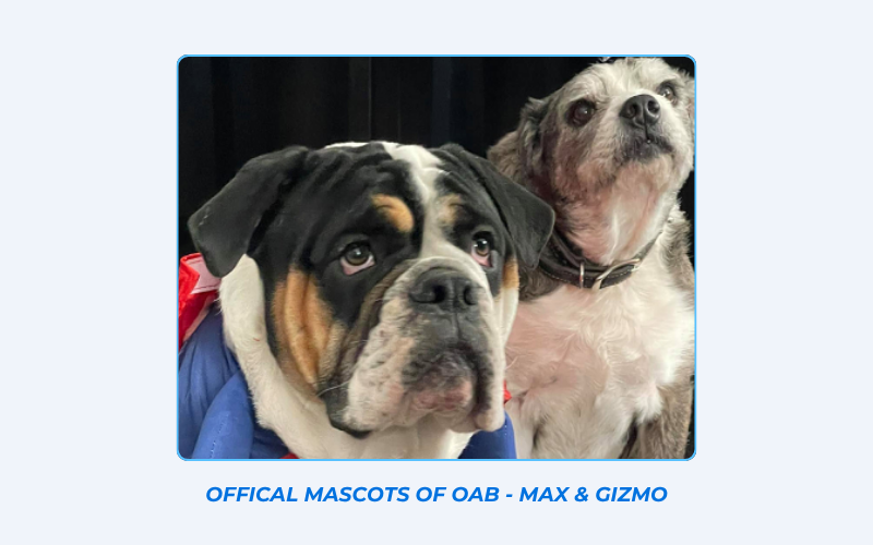 Max and Gizmo, official mascots for OAB Reliable Carpet Care in Edmonton