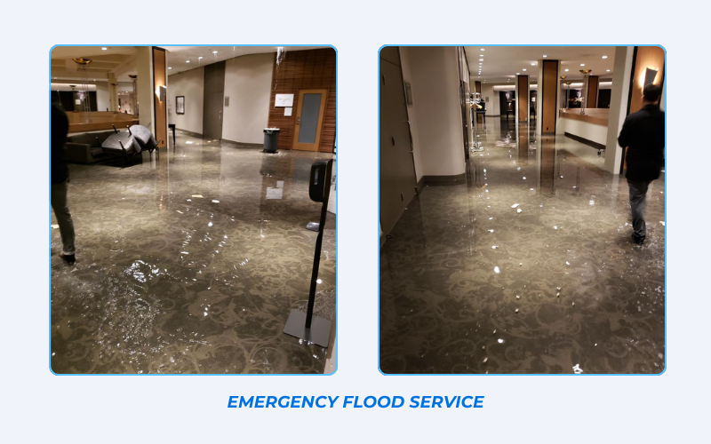 Emergency building flood water extraction and restoration services in Edmonton