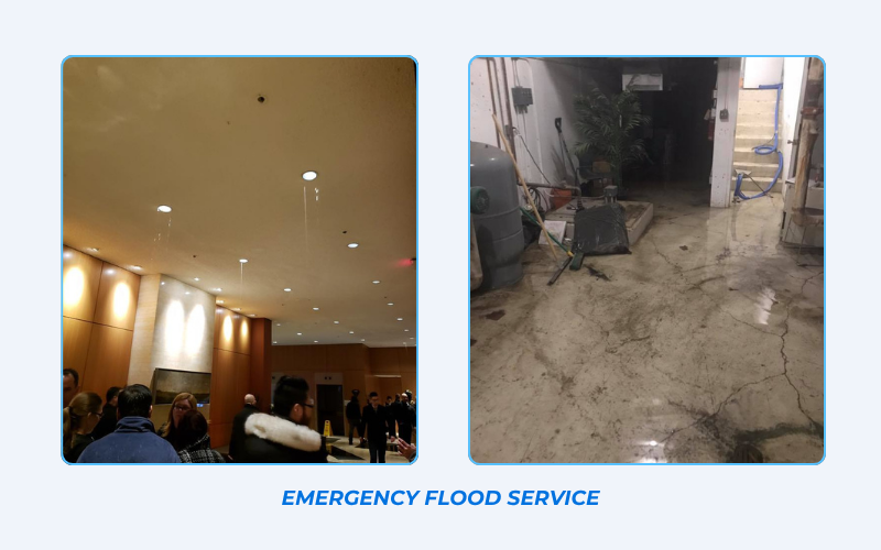 Expert emergency flood services and water removal for Edmonton properties