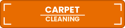 Request a free carpet cleaning quote in Edmonton